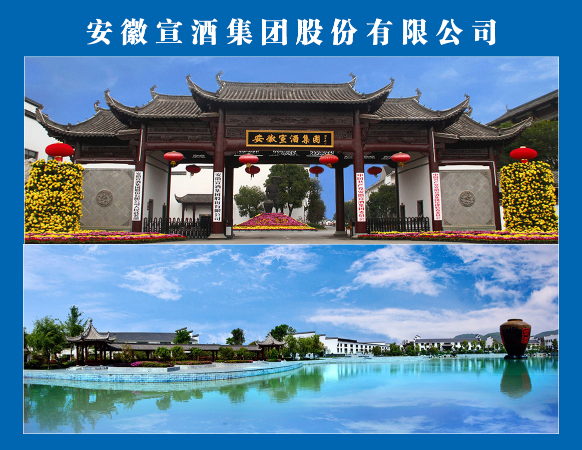 安徽宣酒集團股份有限公司